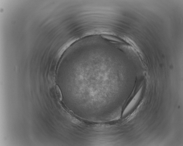 X0000074341081200609082051