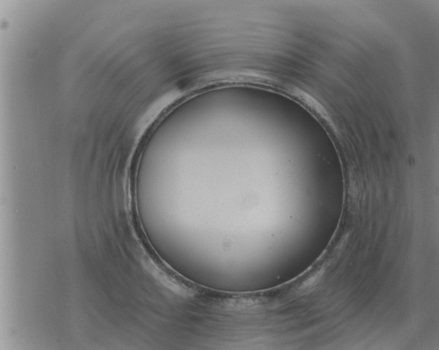 X0000074341082200609082051