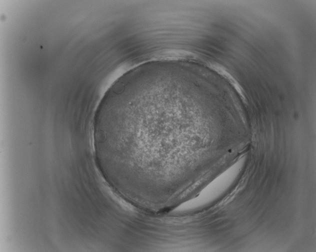 X0000074341083200609082051