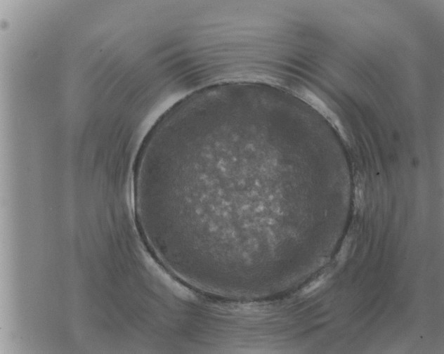 X0000074341084200609082051