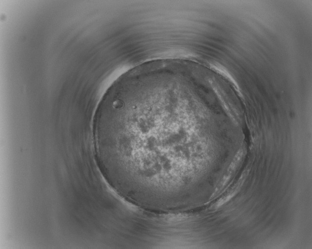 X0000074341087200609082051