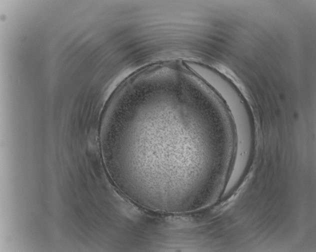 X0000074341089200609082051