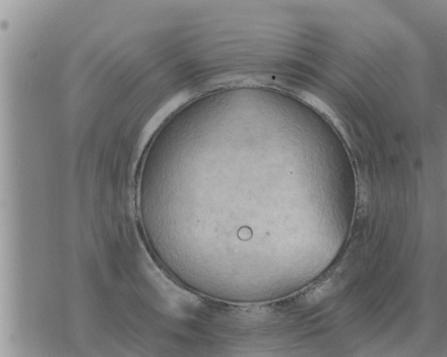 X0000074341090200609082051