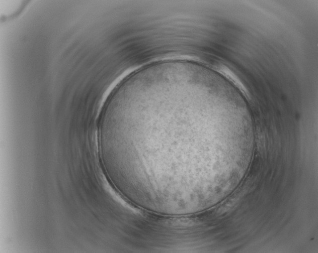 X0000074341092200609082051