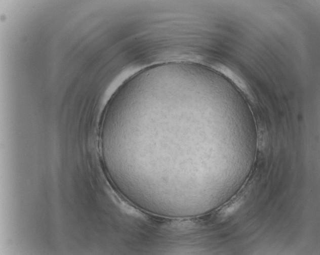 X0000074341094200609082051