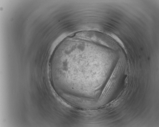 X0000074341096200609082051