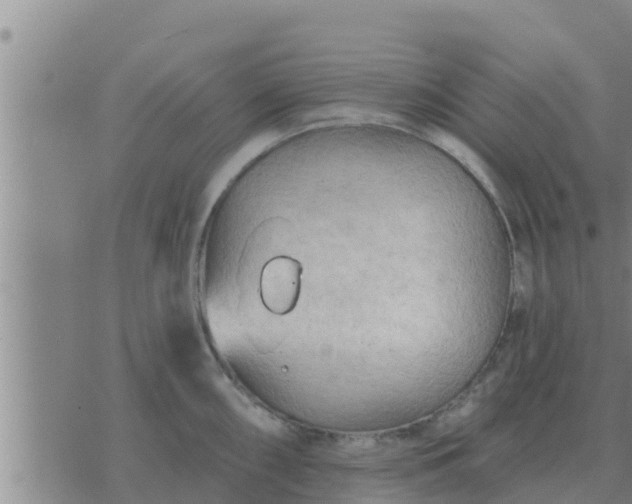 X0000074341098200609082051