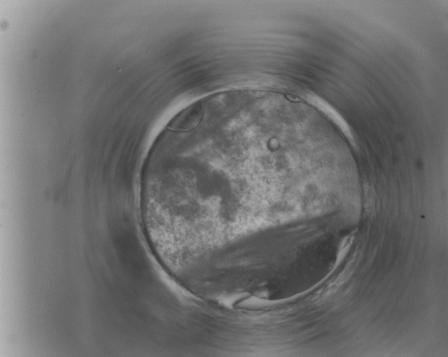 X0000074341099200609082051