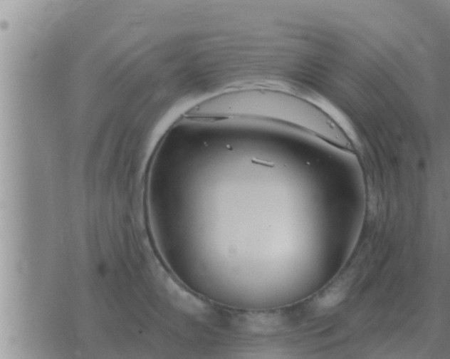 X0000074341102200609082051