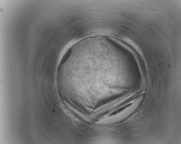 X0000074341104200609082051