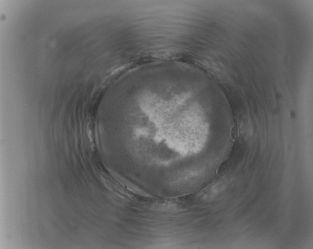 X0000074341106200609082050