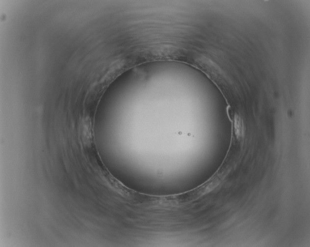 X0000074341107200609082050