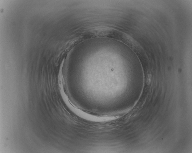 X0000074341108200609082050