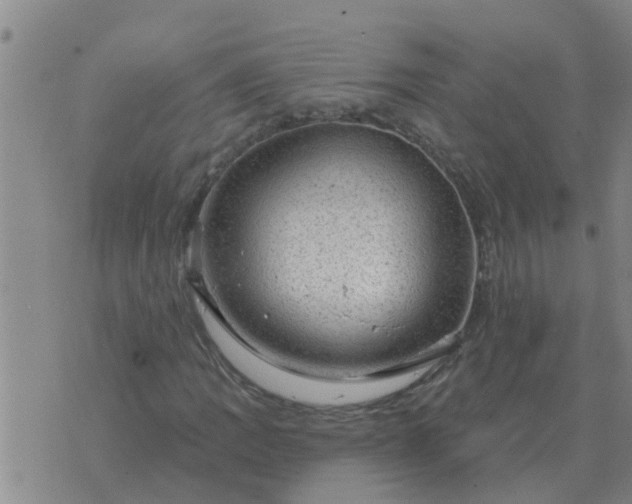 X0000074341109200609082050