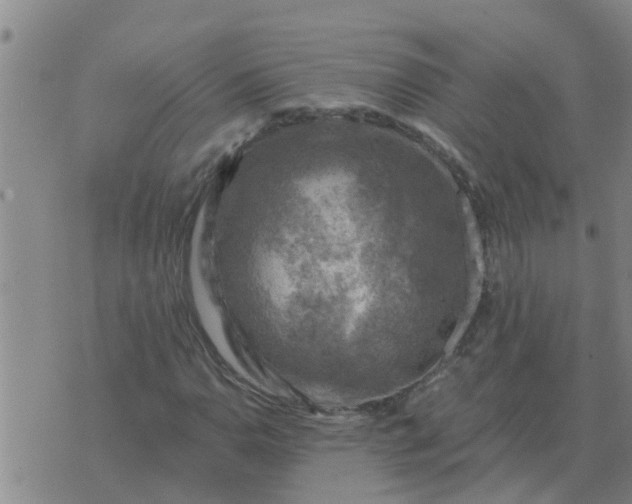 X0000074341110200609082050