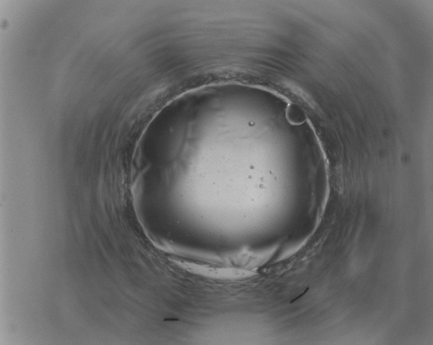 X0000074341111200609082050