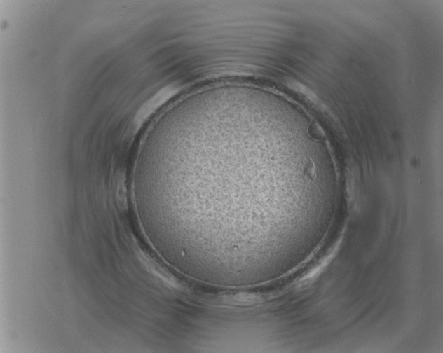 X0000074341113200609082050