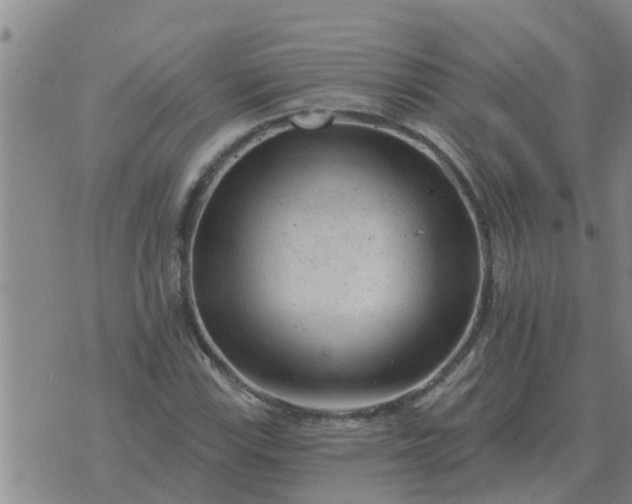 X0000074341115200609082050