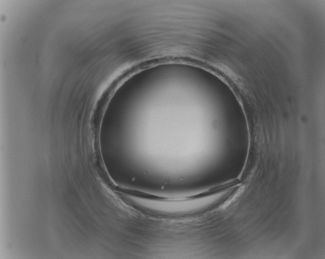 X0000074341118200609082050