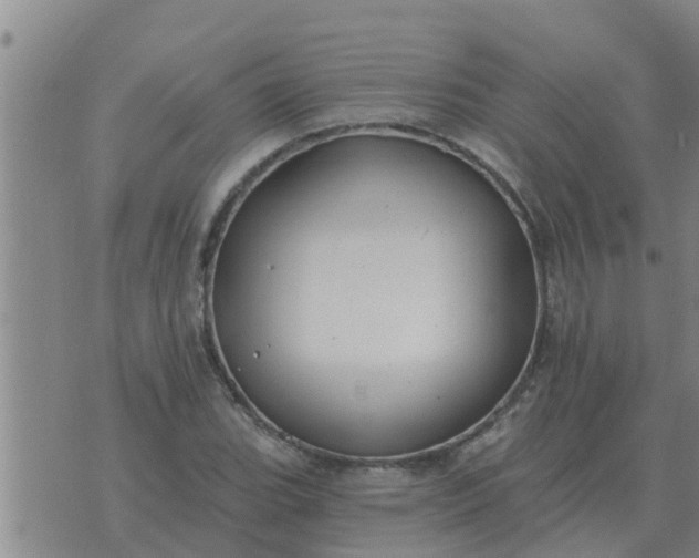 X0000074341119200609082050