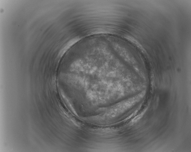 X0000074341121200609082050