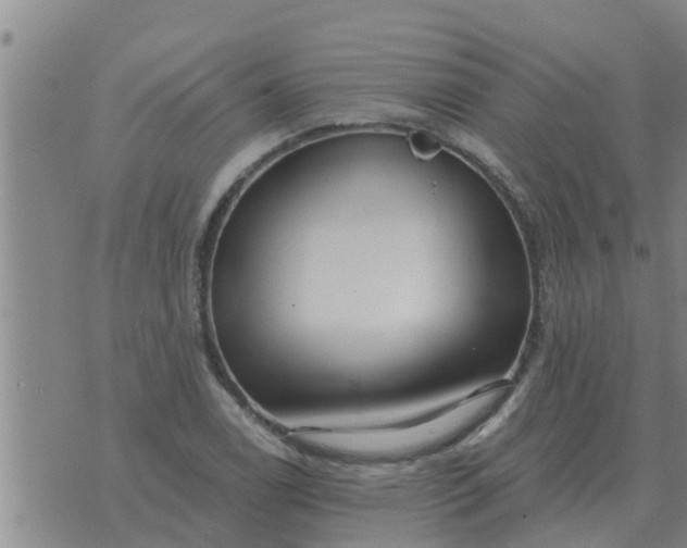 X0000074341122200609082050