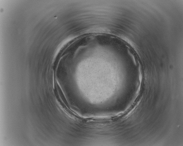 X0000074341123200609082050