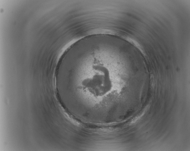 X0000074341125200609082050