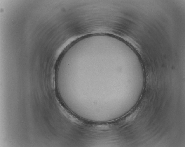 X0000074341126200609082050