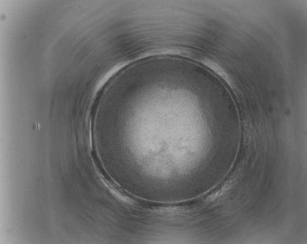 X0000074341127200609082050