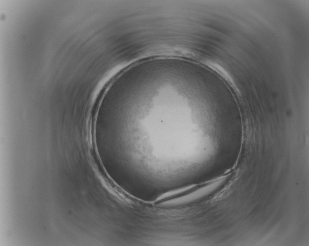 X0000074341128200609082050