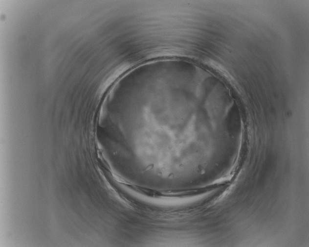 X0000074341129200609082050