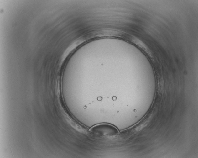 X0000074341130200609082050