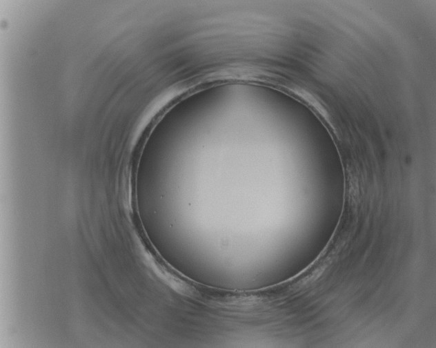 X0000074341131200609082050