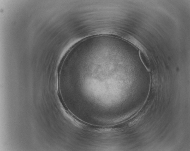 X0000074341132200609082050