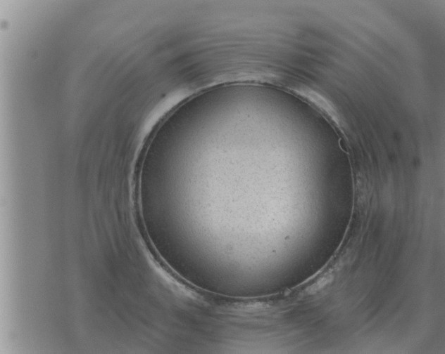 X0000074341135200609082050