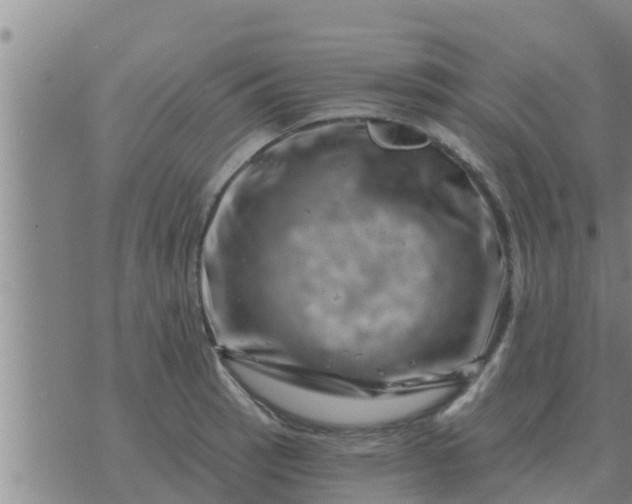 X0000074341137200609082050