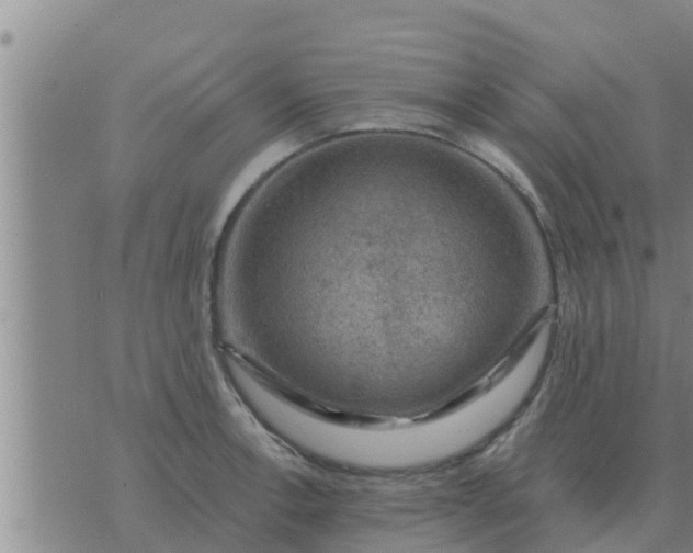 X0000074341138200609082050