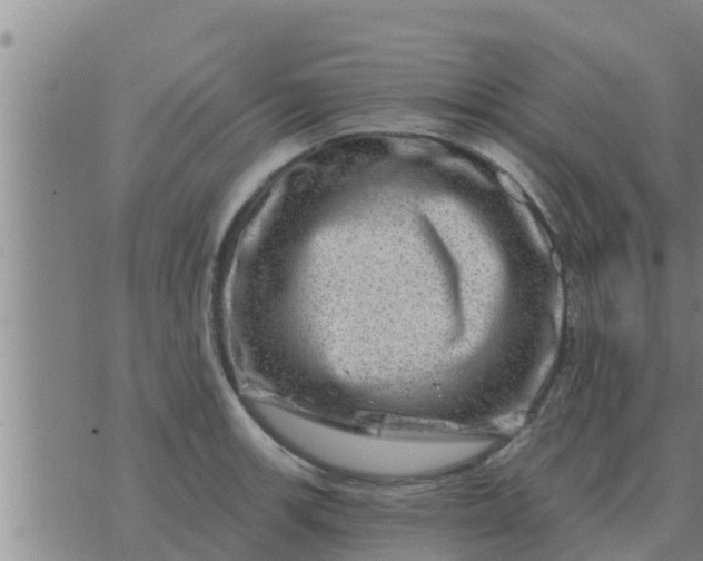 X0000074341139200609082050