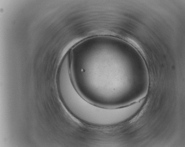 X0000074341141200609082051