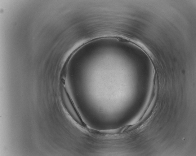 X0000074341142200609082051