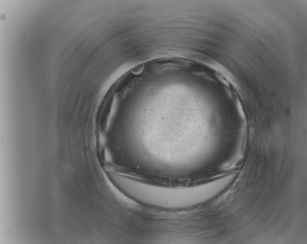 X0000074341143200609082051