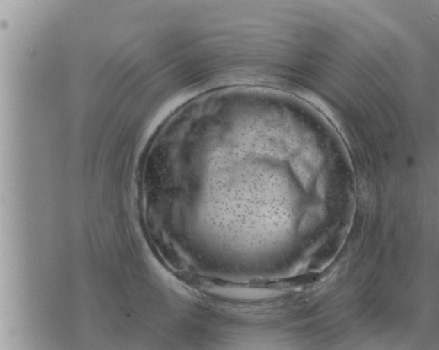 X0000074341147200609082051