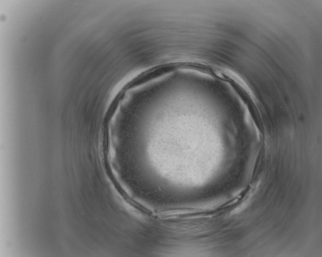 X0000074341149200609082051