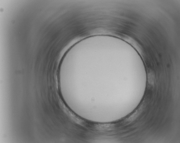 X0000074341150200609082051