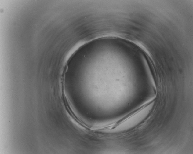 X0000074341151200609082051