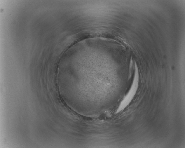 X0000074341153200609082050