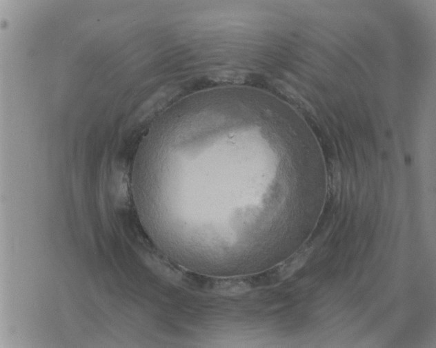 X0000074341154200609082050