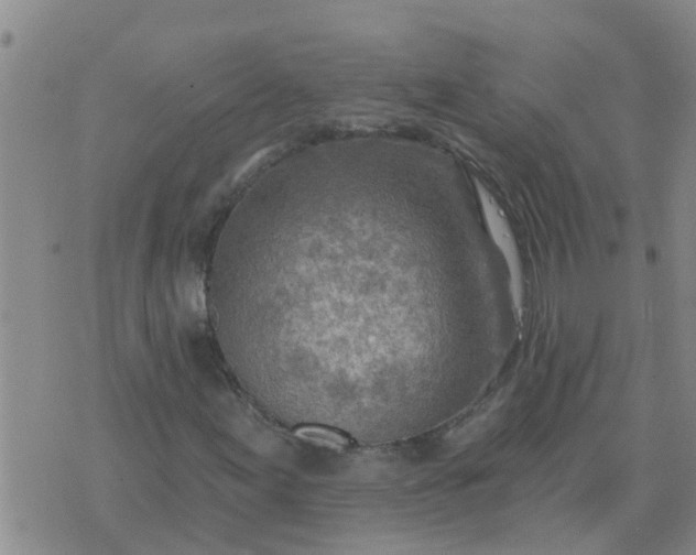 X0000074341155200609082050