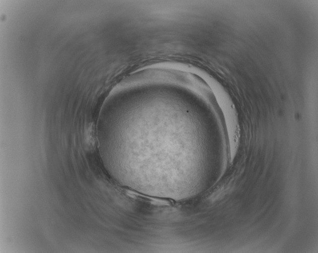 X0000074341156200609082050